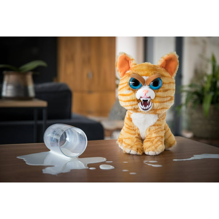 Princess top pottymouth cat