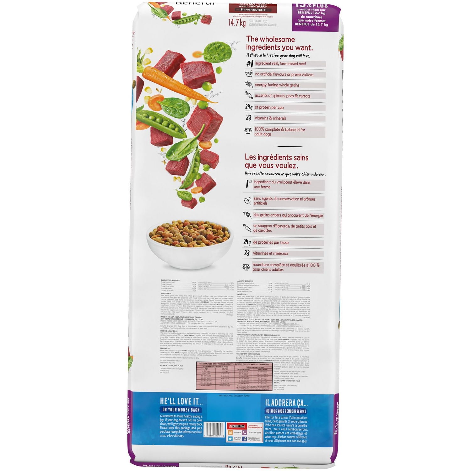 Beneful Originals with Real Beef, Dry Dog Food