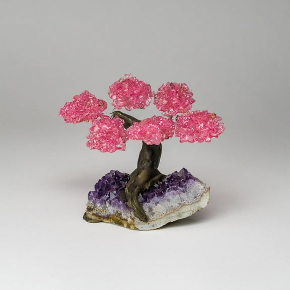 Genuine Rose Quartz Clustered Gemstone Tree on Amethyst Matrix (The Love Tree) 4"
