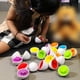 thumbnail image 2 of 12 Piezas Huevos Educativos a Juguete Juguete Huevos Emparejados Montessori Pollo Juguetes para Niños, 2 of 9