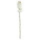 thumbnail image 5 of Orquídea Phalaenopsis artificial realista con tallo de flores falsas para mesa, 5 of 6