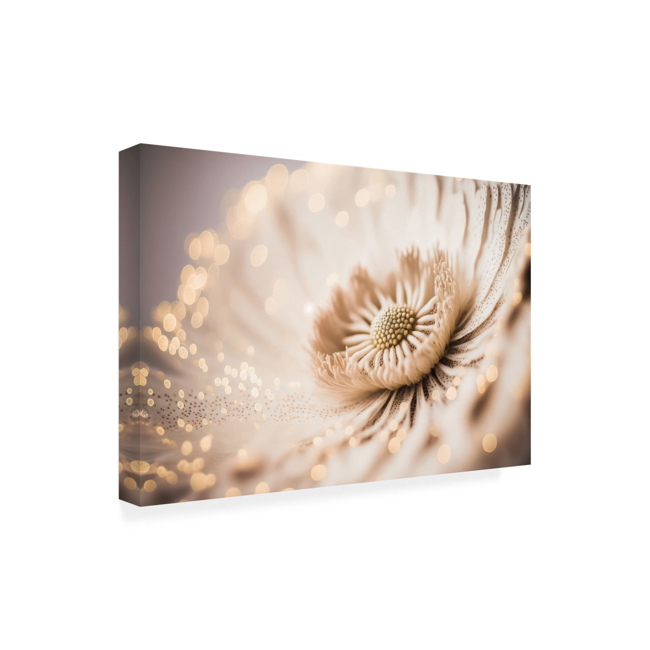 Canvas Wall Art - Treechild 'Beige Coral Flower' Wall Art for Living Room, Bedroom, or Office D?cor by Trademark Fine Art - 24 x 16 Inches