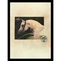 Venice Beach Collection's Gorgeous Fashion White Horse 14x18 Framed Print