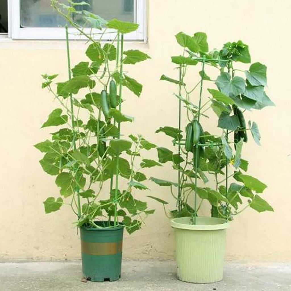 Garden Plant Support, Tomato Cage For Climbing Plants Kits, With 4pcs Garden Plant Climbing Support Rack (24 Inches), 4pcs Automatic Watering Spikes, 20pcs Plant Clips
