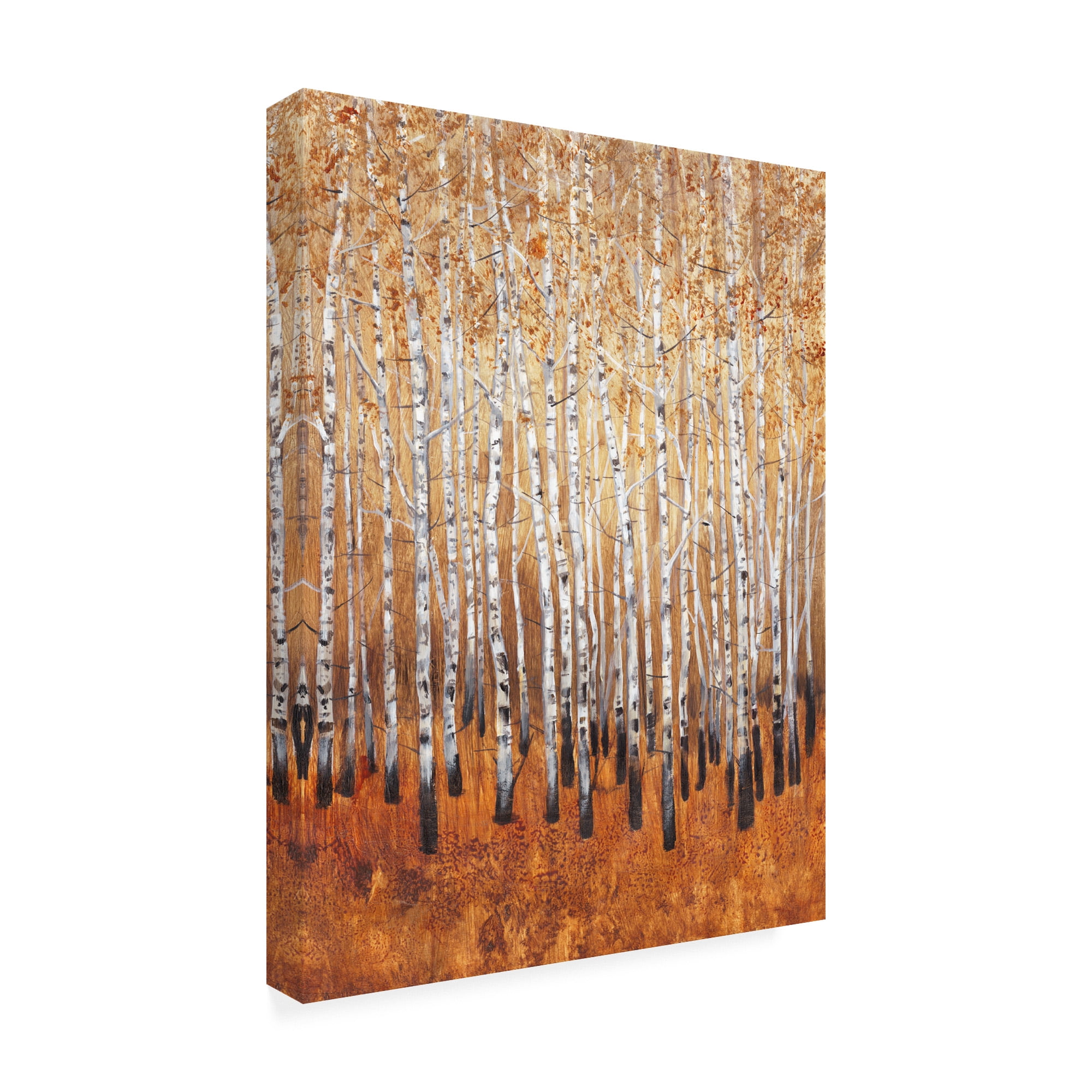 Sienna Birches I' Canvas Art by Tim OToole