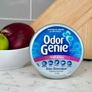DampRid Odor Genie Wild Berry Odor Eliminator, 8 oz