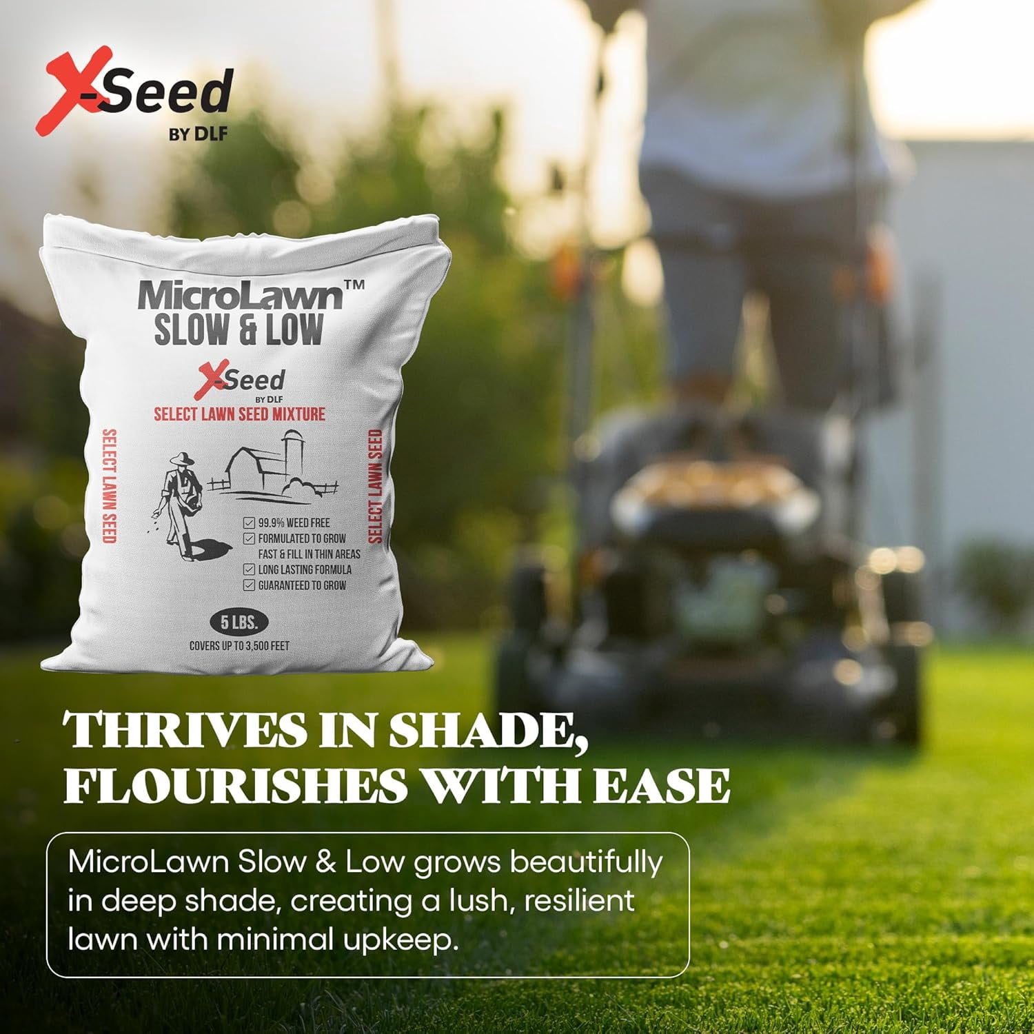 X-Seed Micro-Lawn Slow & Low Grass Seed for Cool Season Lawns, No Mow Natural Areas, Sun to Full Shade, Slow and Low Growing Micro Clover, Creeping Red Fescue, Intermediate Ryegrass, Starter Bag, 5LB
