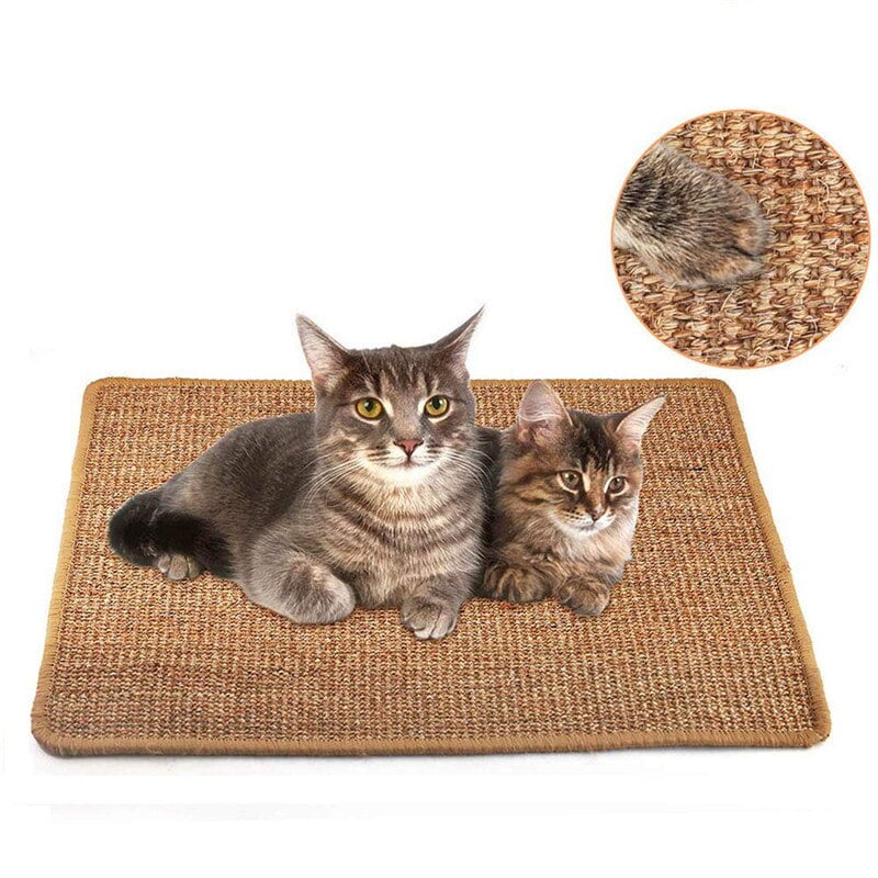 cat play mat