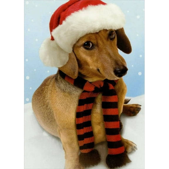 Recycled Paper Greetings Weinerful Time Dachshund Dog Christmas Card