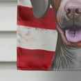 thumbnail image 4 of Carolines Treasures CK6649CHF Pointer Dog American Canvas House Size Outdoor-Flags, Multicolor, 4 of 4