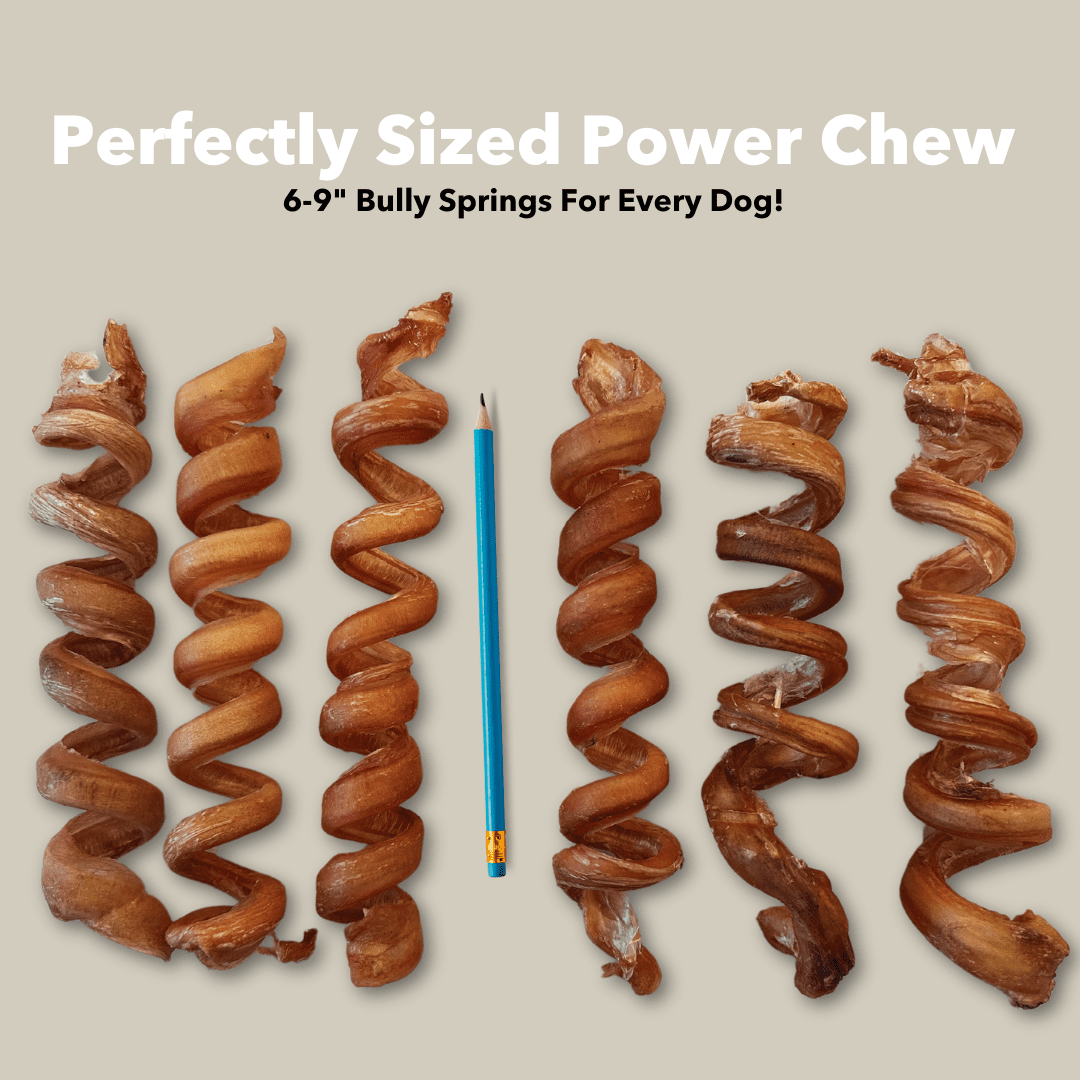 6-9" Bulk Bully Springs