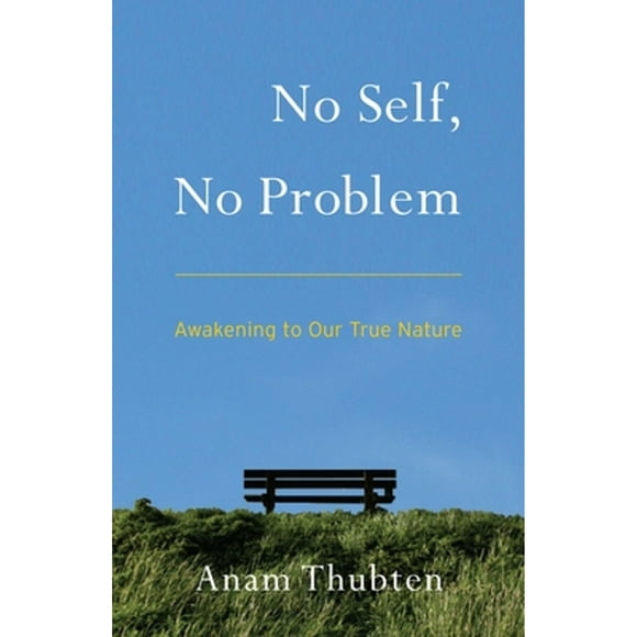 Pre-Owned No Self, No Problem: Awakening to Our True Nature (Paperback 9781559394048) by Anam Thubten, Sharon Roe