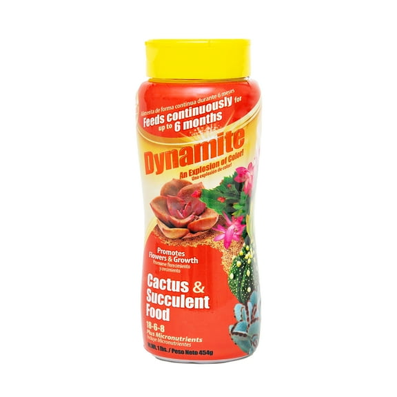 Dynamite Sun Bulb Cactus & Succulent Plant Food, 18-6-8 Fertilizer, 1 lb.