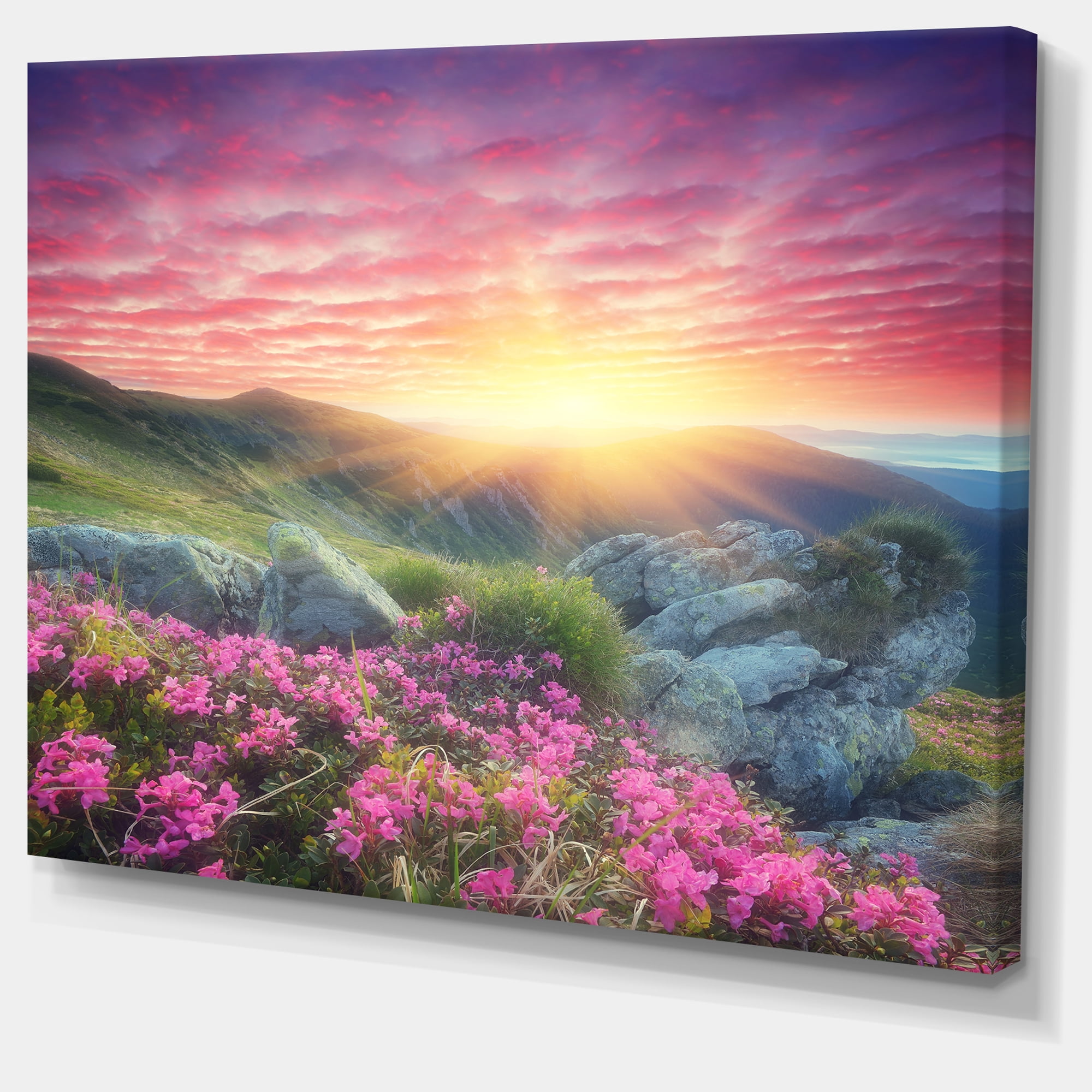 Designart 'Morning with Flowers in Mountains ' Landscape Photography Canvas Print