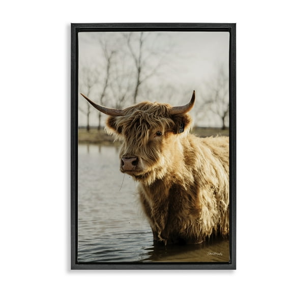 Stupell Industries Peering Cattle in Water Animals & Insects Photography Black Floater Framed Canvas Art Print Wall Art, 17 x 25