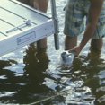 thumbnail image 2 of Multinautic Dock Base Plate, 2 of 2