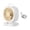 B, variant on YIJIA 8 Inch Brushless USB Rechargeable Circulation Desk Fan 5 Speed Plastic Portable Air Cooler 9.05x6.30x5.12 Inches 1 Unit