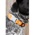 thumbnail image 4 of Aria the Fox Waterproof Dog Collar, 13 - 15 Inch, Orange, 4 of 4