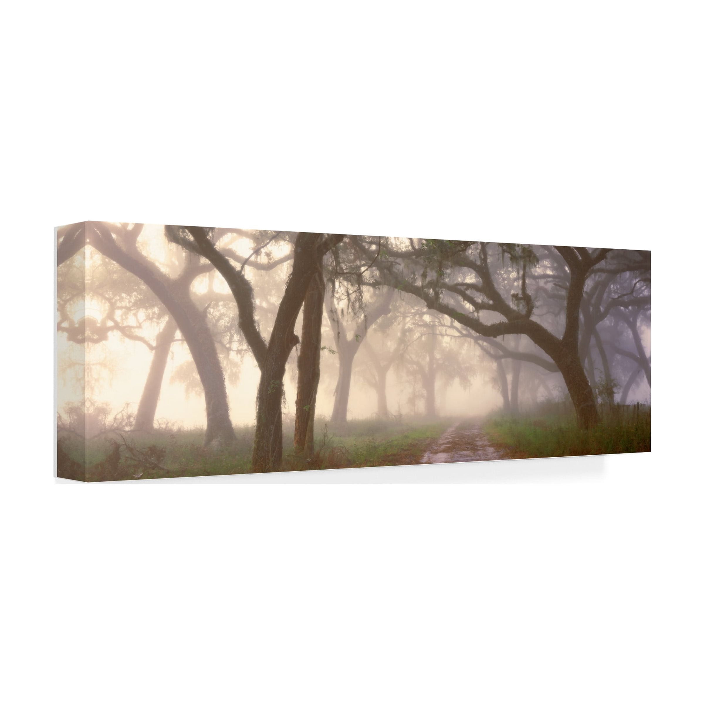 Trademark Fine Art 'Dawns Early Light' Canvas Art by Doug Cavanah