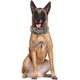 thumbnail image 3 of Collar de perro afilado con tachuelas de 2 pulgadas de ancho, elegante Collar de cuero para perros medianos grandes, Pitbull Labrador Boxer (l: 21-24 pulgadas, leopardo), 3 of 3