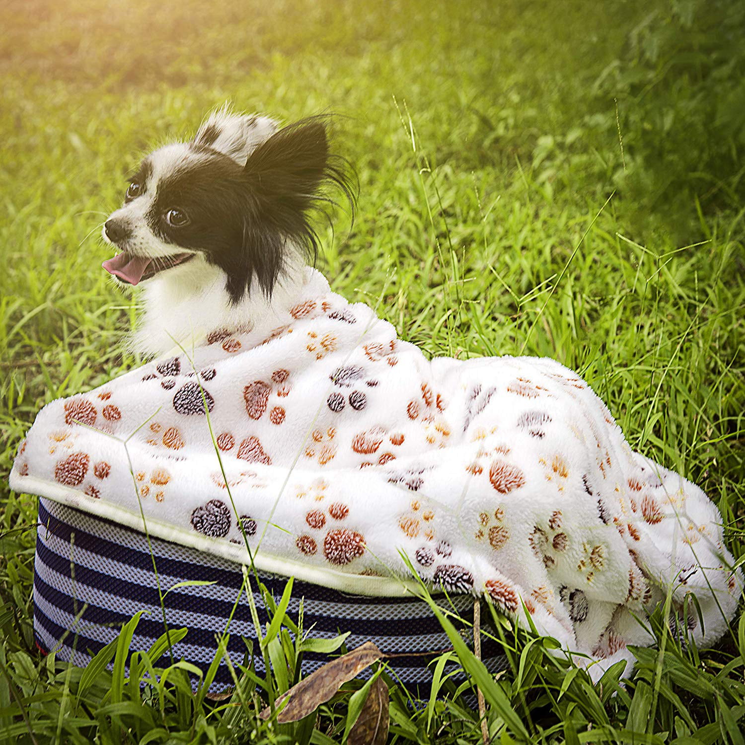 outdoor dog blanket