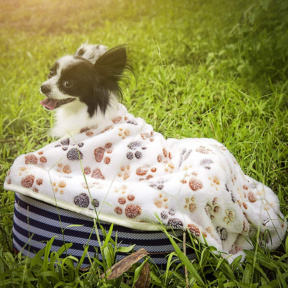 plush dog blankets