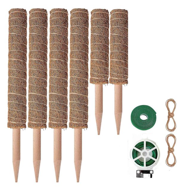 6 piezas de musgo para plantas Monstera, hacia arriba, con lazos giratorios y cuerda de yute Afortunado Sencillez