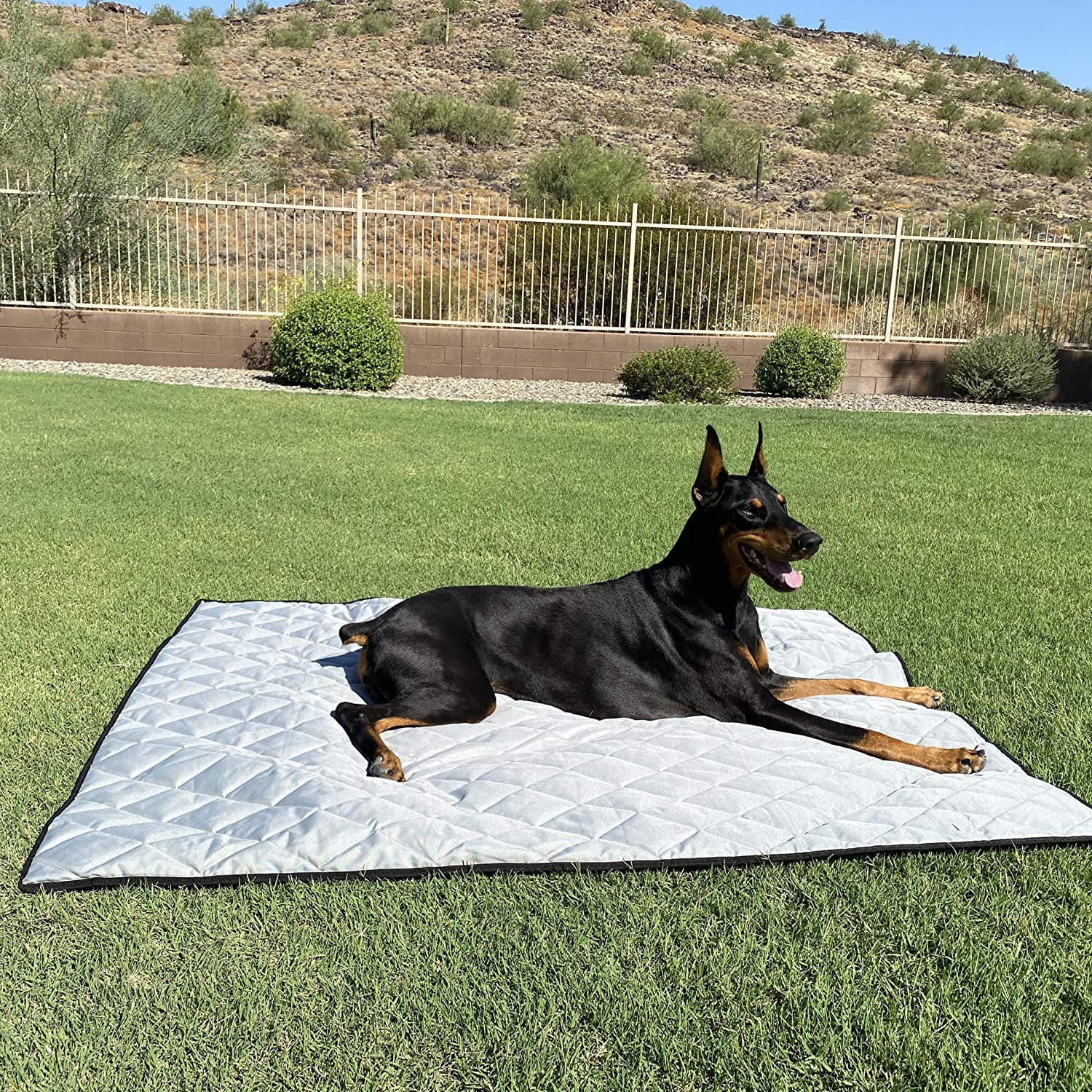 Waterproof Dog Blanket with Non-Slip Backing – Heavy Duty Pet Mat for Couch, Bed, Car –  Washable – 60x48 Inch –
