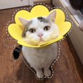 thumbnail image 2 of Pet Protective Recovery Collar Adjustable Sunflower Shape Cat Cone Collar, Cute Soft Cone After Surgery Neck Collar, 2 of 3