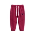 thumbnail image 7 of LYMAYTER 1-9Y Baby Toddler Boys Dinosaur Jogger Pants Cotton Soft Elastic Waist Casual Active Sweatpants, 7 of 7