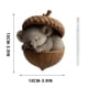 thumbnail image 2 of Lunxisen 4 Pcs Forest Christmas Ornaments, Christmas Tree Ornaments, Hazelnut with Cute Animals, Quality Resin Material, Beautifully Handcrafted with Intricate Details.(4in), 2 of 9