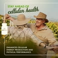 thumbnail image 2 of Swanson CoQ10 - Helps Promote Heart Health, Energy Support, & Aids Overall Cardiovascular System Health - Helps Maintain Coenzyme Q10 Supplement - (100 Capsules, 120mg Each), 2 of 7