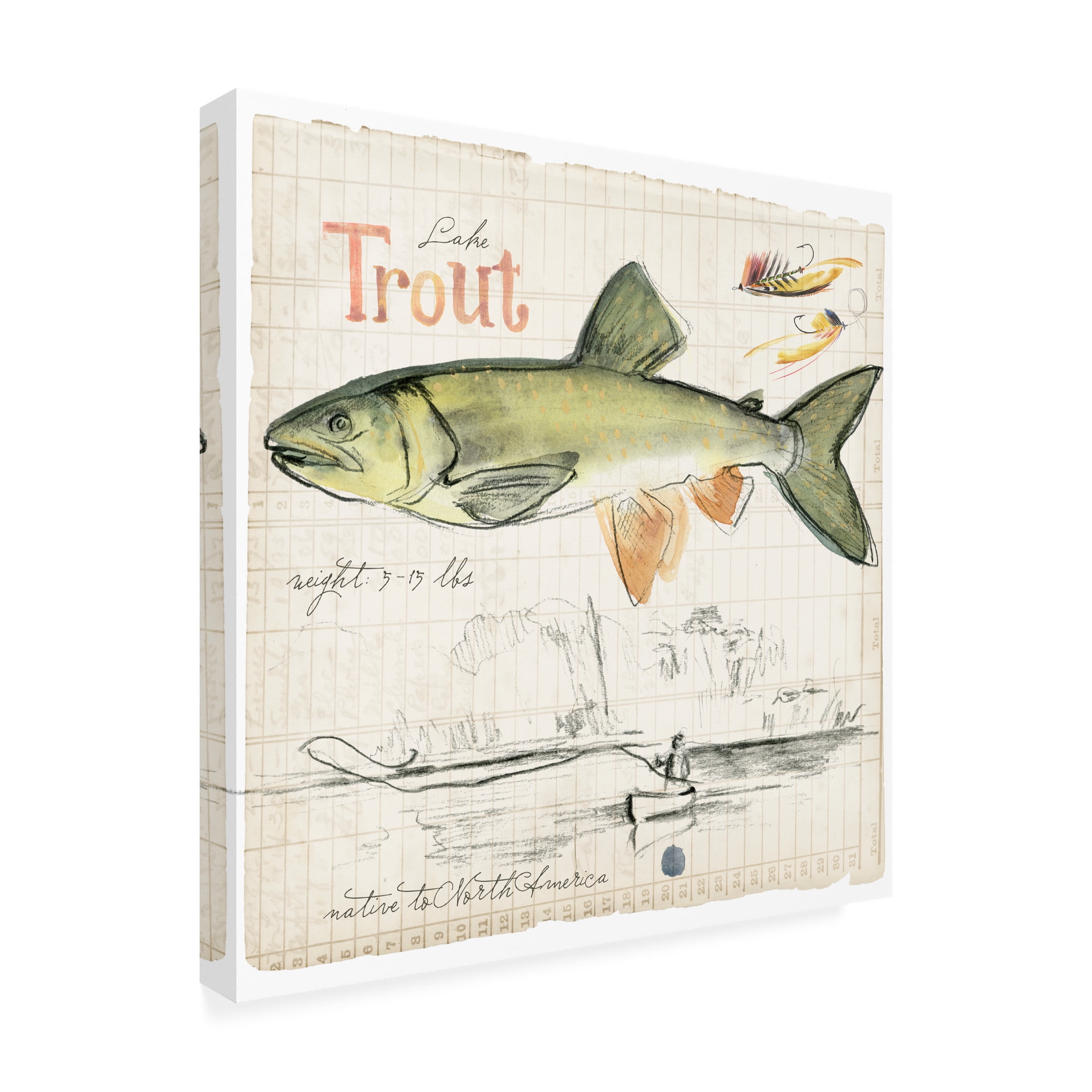 Jennifer Paxton Parker 'Trout Journal III' Canvas Art