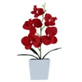 thumbnail image 2 of Farfi Plantas artificiales sin fantasals Lifful Plástico Artificial Bonsai Plantas para jardín Farfi 21066302, 2 of 6