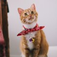thumbnail image 4 of Dsseng Étui Pack Cloche pour Chat Pendentif d'Entraînement Collier pour Animaux Fournitures, 4 of 6