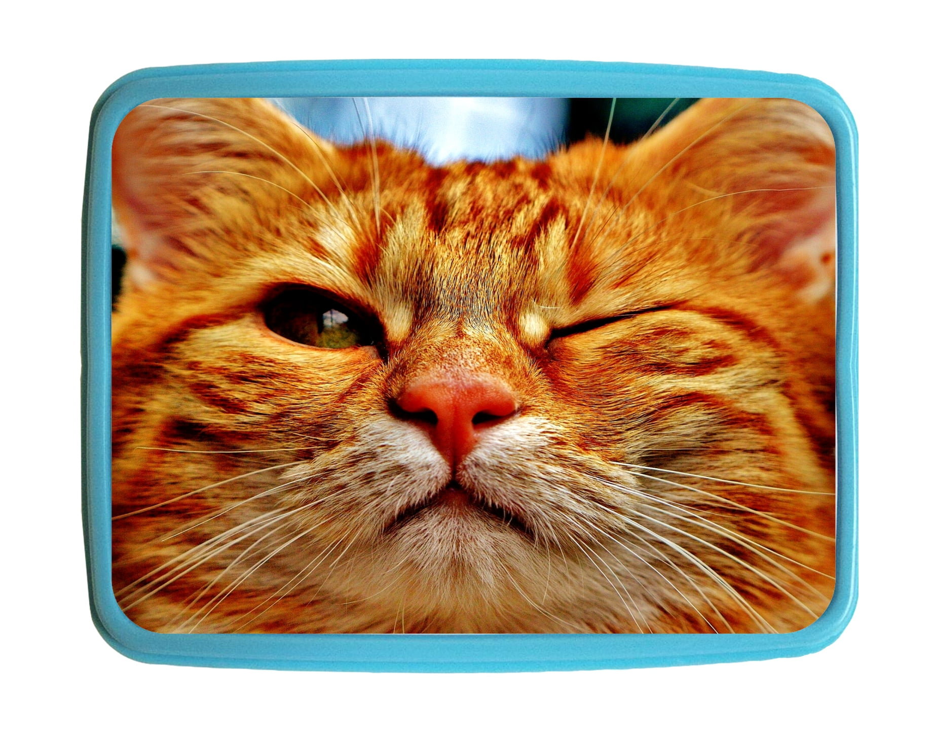 Cat Mackerel Kids Bento Lunch Box with 3 Compartment Food Container