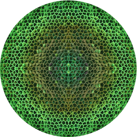 Ahgly Company Machine Washable Indoor Round Transitional Dark Forest Green Area Rugs, 4' Round