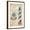 Brown Frame, variant on Art.com Outer Banks, North Carolina - Cape Hatteras Lighthouse Technical Art Print by Lantern Press, Brown Frame Wall Art, 17" x 23"