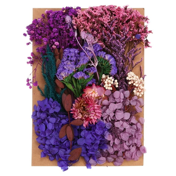 Uxcell Pressed Flowers for Craft Bulk Dried Flowers Natural Pressed Flowers Leaves Purple