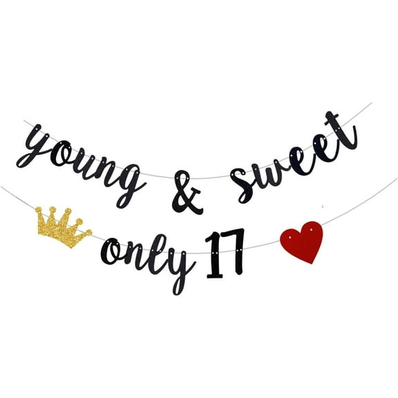 Young & Sweet Only 17 Banner, 17th Birthday Party Decorations, Dancing Queen 17 Birthday Anniversary Party Supply Black Glitter (Pre-Strung)