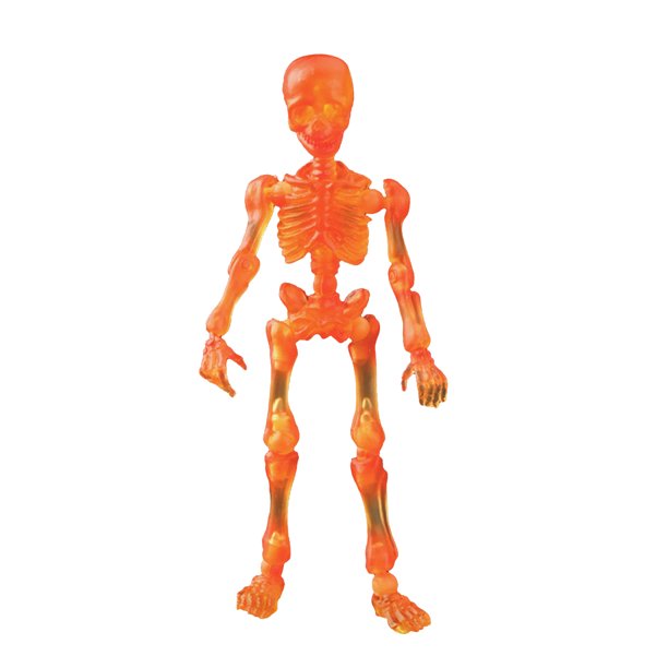Aozowin Human Skeleton Model Mini Movable Skeleton Figure Toy Skull