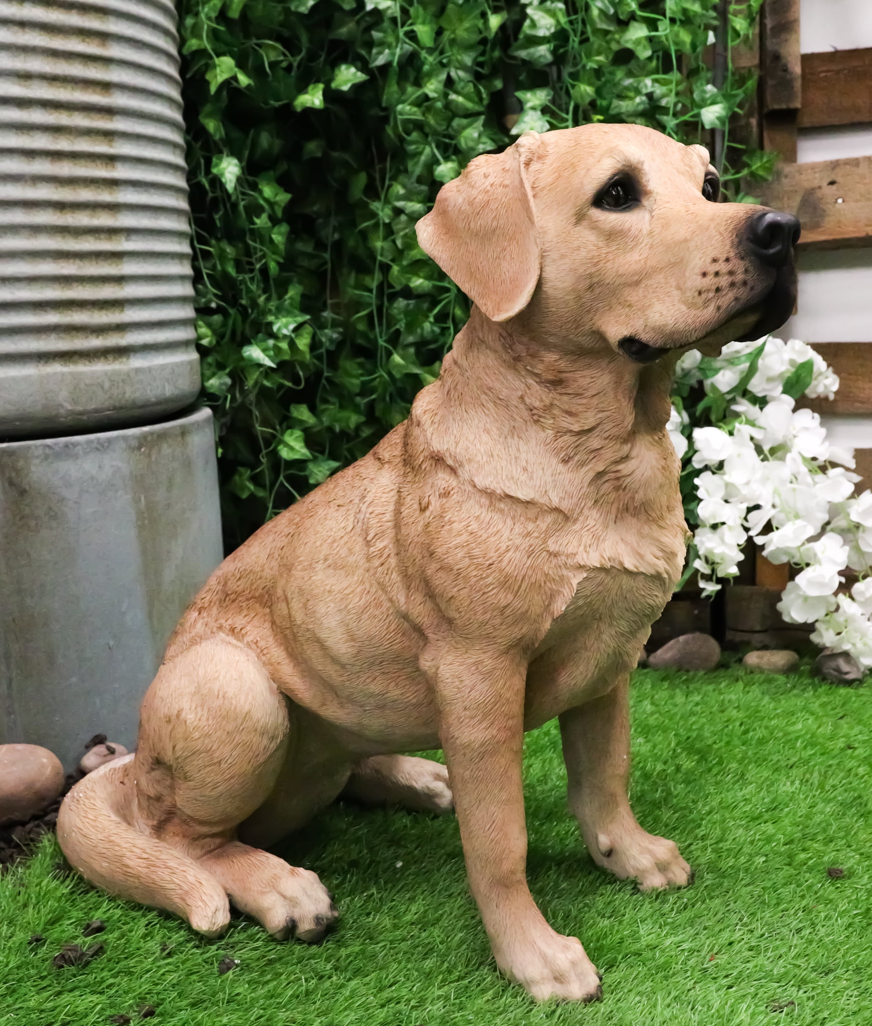 Huge yellow best sale lab