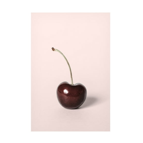 Trademark Fine Art Pictufy Studio Single Cherry Canvas Wall Art