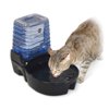 Image thumbnail_image