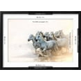 thumbnail image 5 of Art.com White Horses of Camargue Running in the Mediterranean Water at Sunrise Photographic Print by Sheila Haddad, Black Frame Wall Art, 23" x 17", 5 of 5