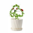 thumbnail image 3 of Climbing Frame Flower Pot Stand Support Metal Plant Stand Bird Pattern Rustproof Stand, 3 of 10