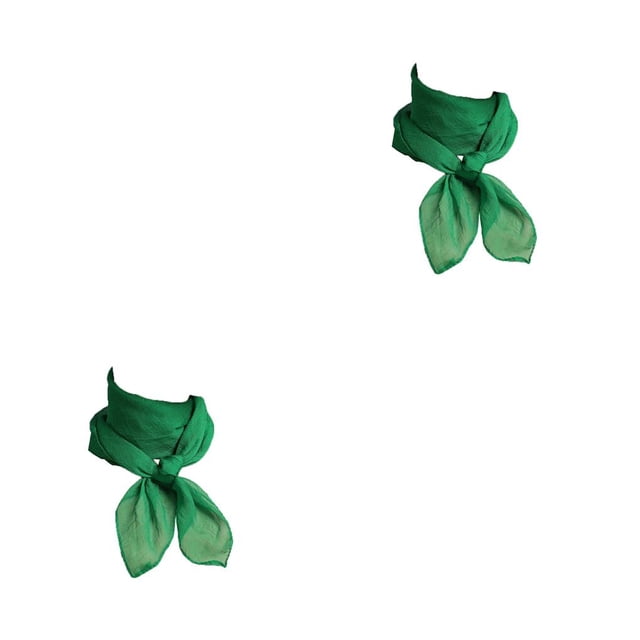 Sonducket Bufanda de gasa, accesorios de ropa, pañuelo pequeño que combina con todo, traje sencillo a juego, diseño fino, pañuelo para mujer, Verde 2Conjunto