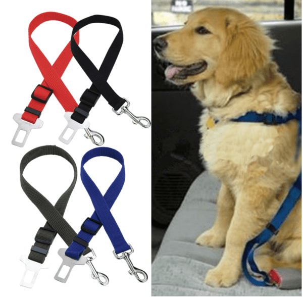 dog car harness walmart