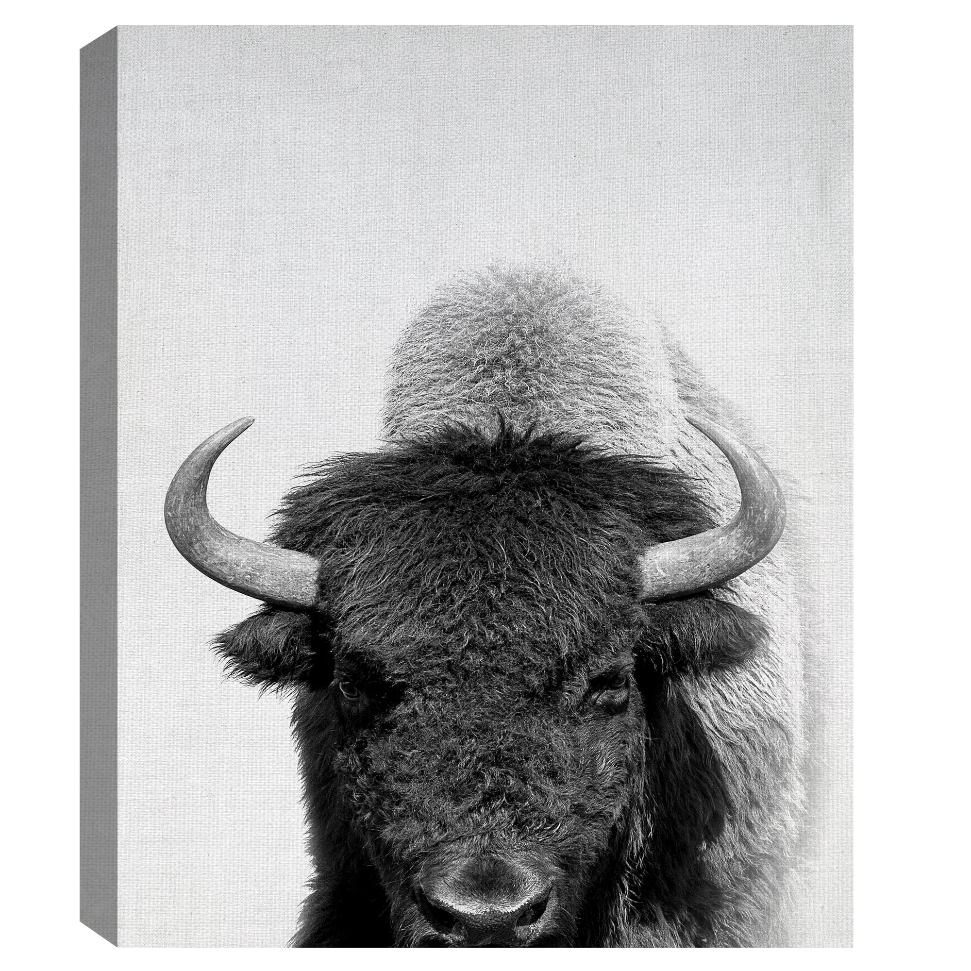 Masterpiece Art Gallery Roaming Wild Bison By Belle Maison Canvas Art Print 22" x 28"