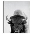 thumbnail image 4 of Masterpiece Art Gallery Roaming Wild Bison By Belle Maison Canvas Art Print 22" x 28", 4 of 4